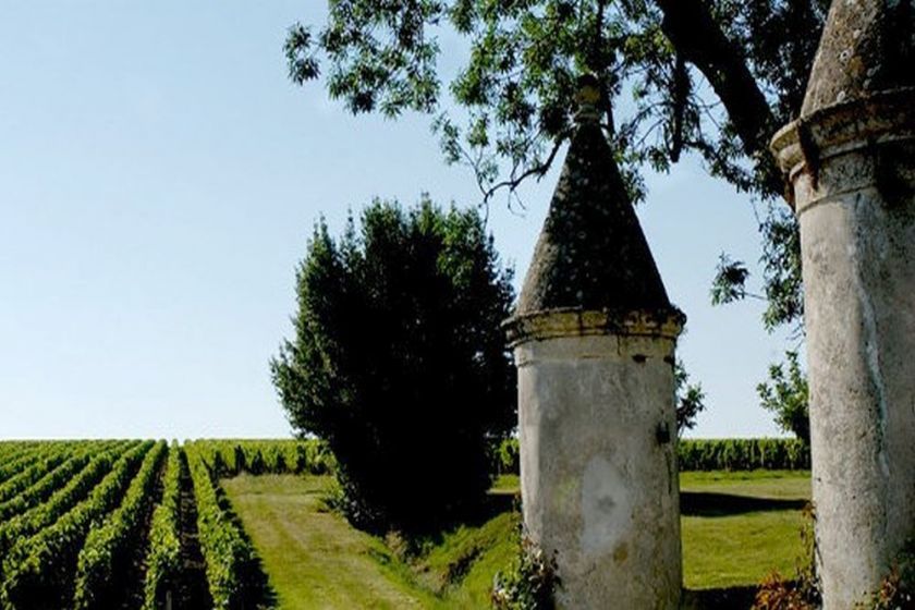 L'arrière pays et ses vignobles