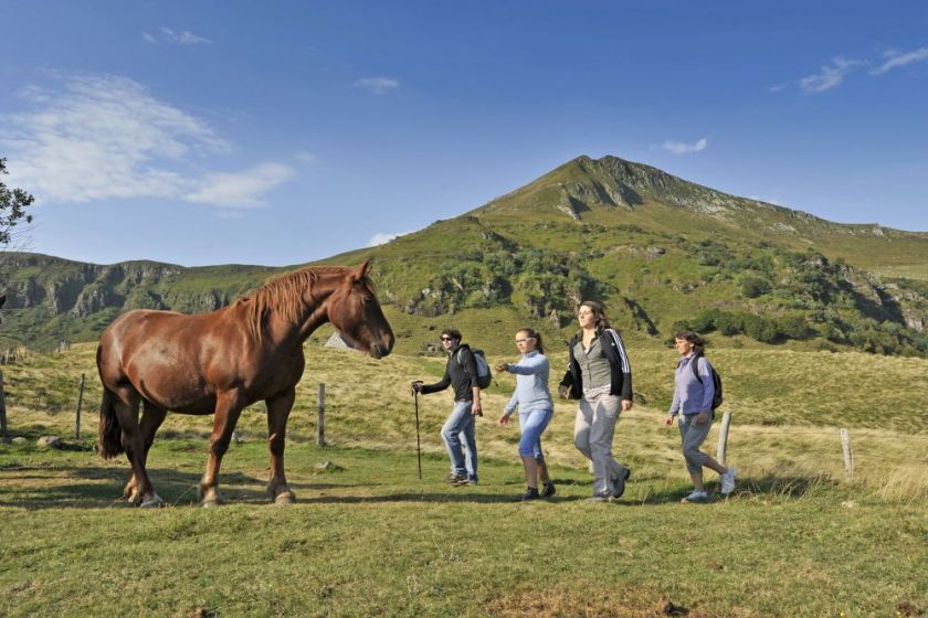 Ferme équestre à proximité