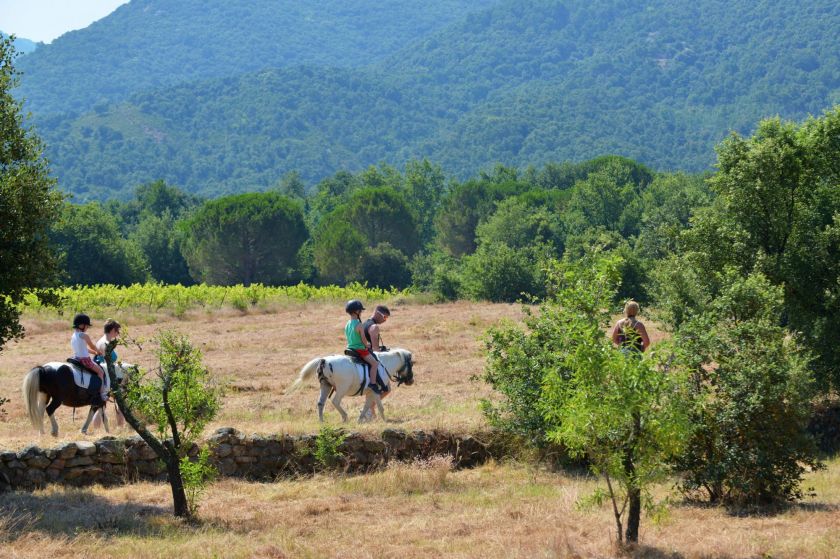 Les Albères