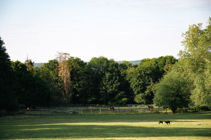 Domaine de Maffliers