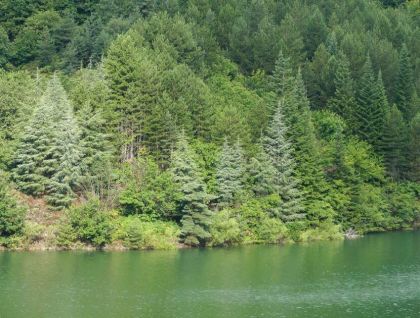 Le Lac de Villefort en famille !