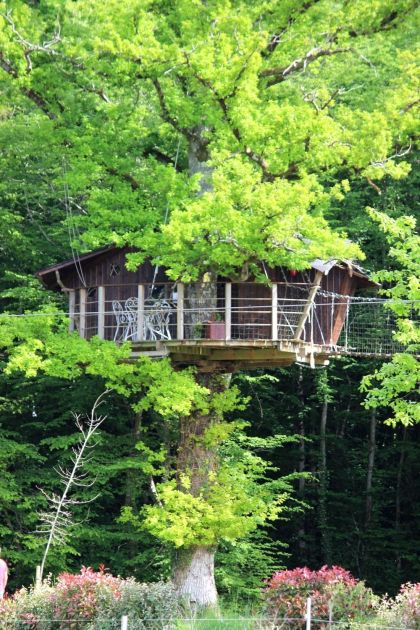 Cabanes dans les arbres