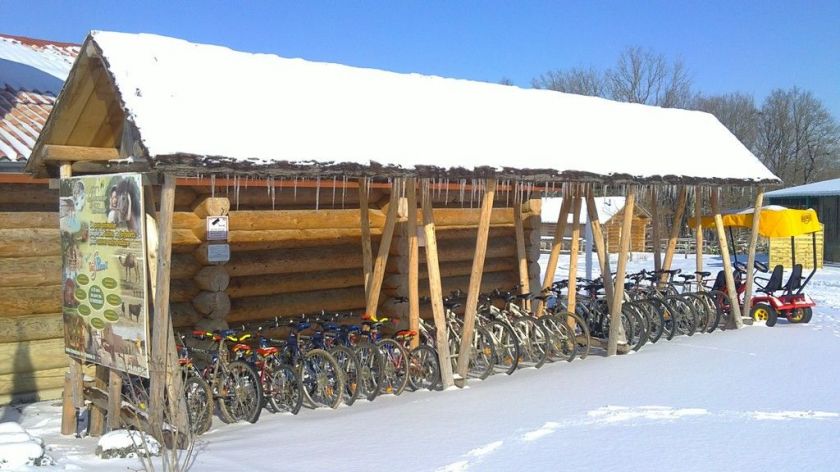 La location de vélos et VTT en famille