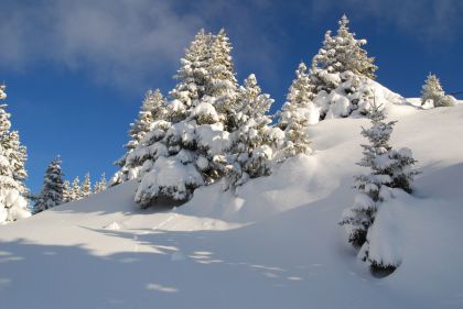 Les Jardins de la Vanoise - Pralognan