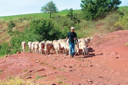 Bergers et paysans peuplent la région !