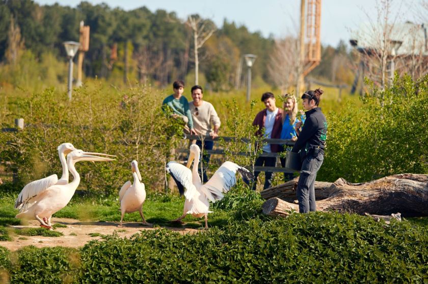 Center Parcs Le Bois aux Daims